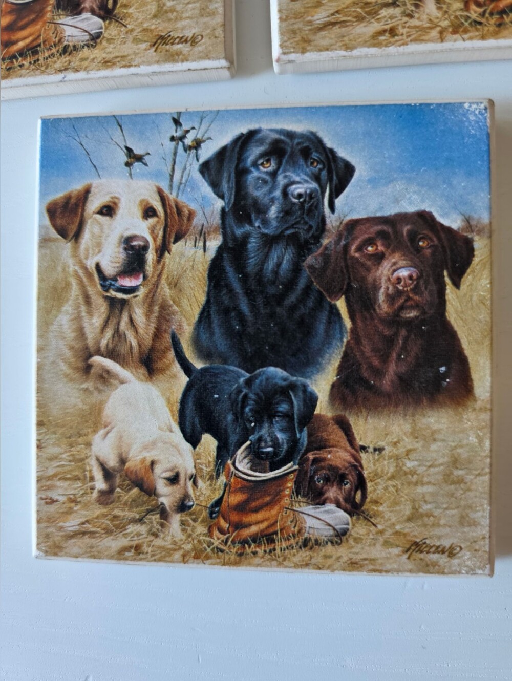 Set of 3 Labrador Retriever Coasters - Yellow, Black, Chocolate - Picture 4 of 5